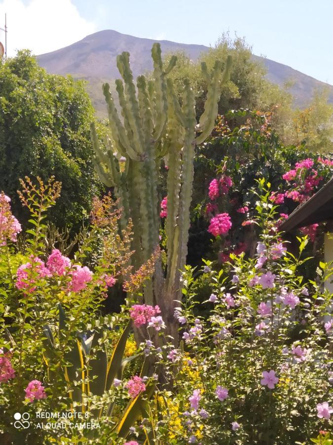 La Rosamarina Hotel Stromboli Eksteriør billede