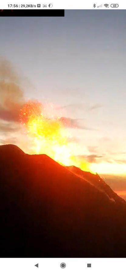 La Rosamarina Hotel Stromboli Eksteriør billede