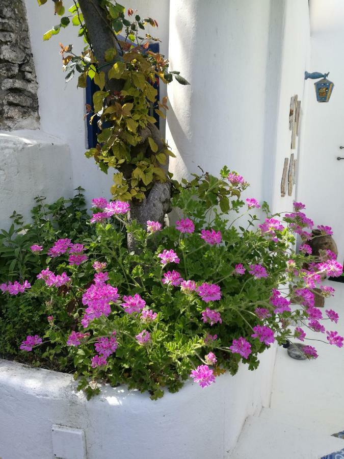 La Rosamarina Hotel Stromboli Eksteriør billede